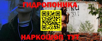 стаф Тверь
