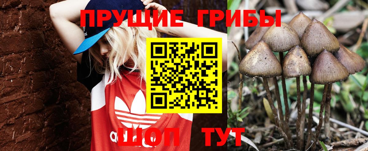 Галлюциногенные грибы GOLDEN TEACHER Копейск